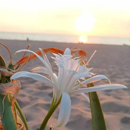 Sea Time アパート